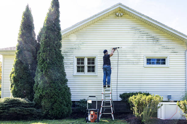 Best Deck Cleaning Services  in Lake Montezuma, AZ